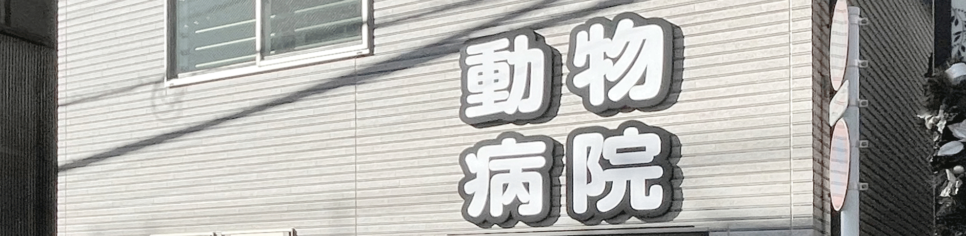 動物病院,久我山駅前動物クリニック