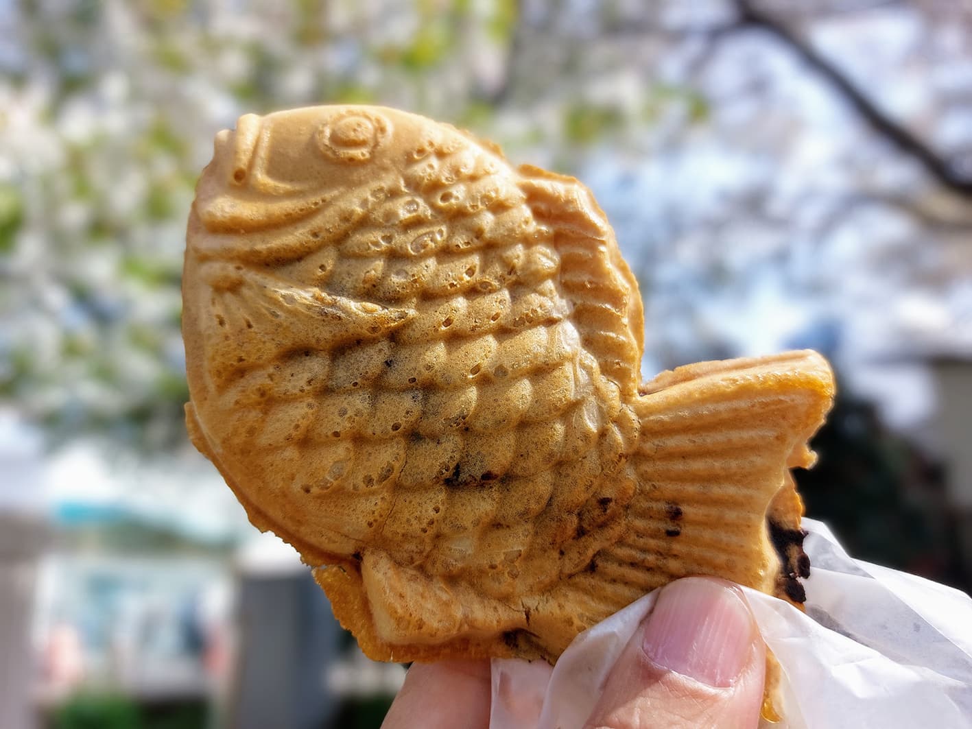 薄皮たい焼き